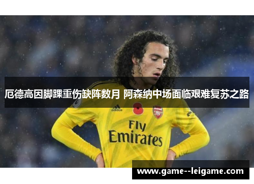 厄德高因脚踝重伤缺阵数月 阿森纳中场面临艰难复苏之路 厄德高因脚踝重伤缺阵数月 阿森纳中场面临艰难复苏之路